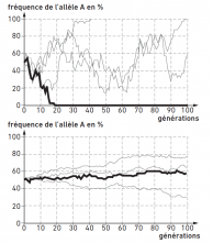 Résultats obtenus avec le logiciel "Évolution allélique"